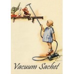110 Vacuum Girl